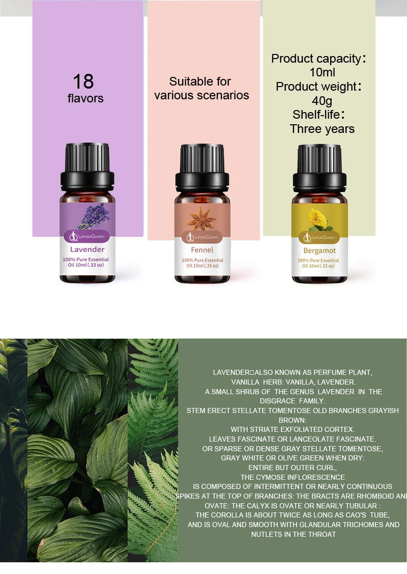 Aromatherapy Pure Essential Oils (10ml)