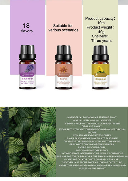 Aromatherapy Pure Essential Oils (10ml)